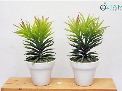 Chậu sen đá giả để bàn F-CHĐB-94